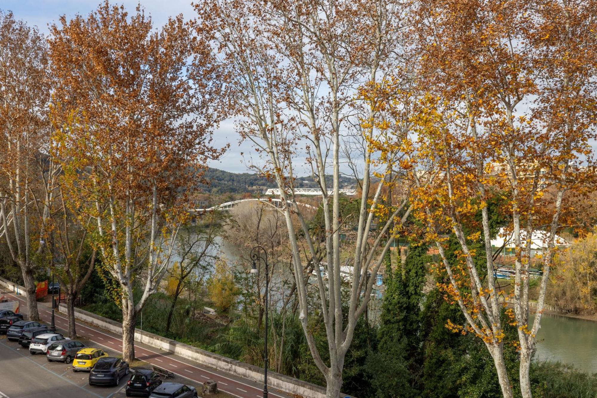 Colorful House On The Tiber Appartamento *